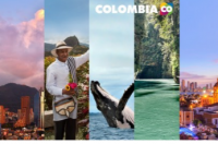 哥伦比亚成为环球旅行者的南美第一目的地