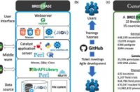 Breedbase软件有助于加快作物改良
