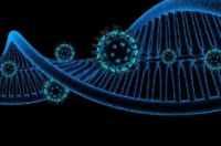 人类基因组中的古代病毒DNA保护细胞免受现代病毒的侵害