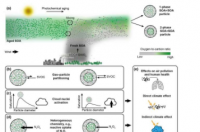 科学家们发现了关于二级有机气溶胶颗粒的气候和健康影响的新线索