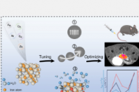 研究人员揭示了过渡金属调节氧化铁的磁共振成像特性的机制