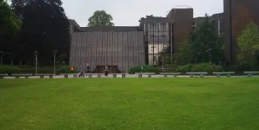 爱尔兰利默里克大学的发现揭示了在分子水平上进行 类脑计算是可能的