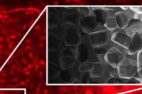 用于解码环境微生物组中微生物暗物质的大孔硅胶芯片