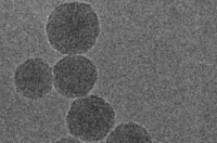 新型纳米颗粒提供创新的癌症化疗免疫疗法