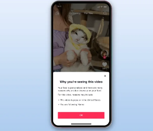 TikTok将在其For You页面上解释为什么推荐视频