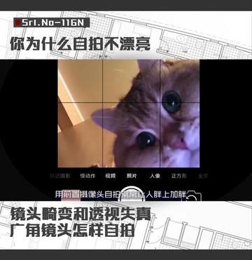 为什么我自拍不好看（为什么你的自拍不好看）