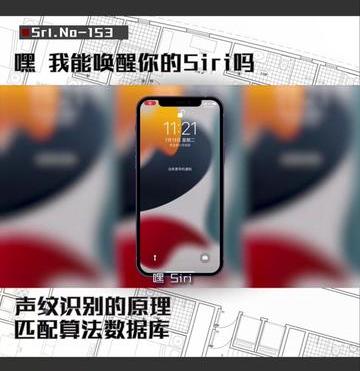 siri怎么识别主人声音（你的SIRI是如何识别主人声音的）