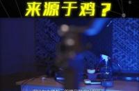 相机鸡头稳定器,买稳定器不如养只鸡