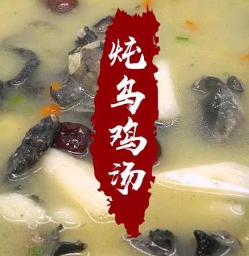 炖乌鸡汤的做法大全家常做法（营养美味炖乌鸡汤~家常美食、持续更新~）