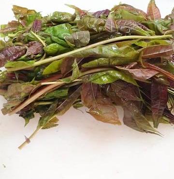 家常菜香椿鸡蛋饼,简单又好吃,精彩美食、持续更新~