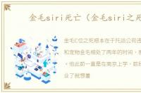 金毛siri死亡（金毛siri之死）