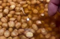 彩色豆豆的家常做法 家常美味胡须豆豆的做法