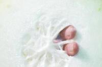 排骨汤 冬瓜（冬瓜排骨汤,精彩美食持续分享~）