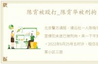 陈霄被殴打_陈霄华被刑拘
