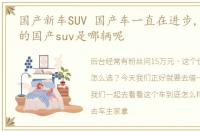 国产新车SUV 国产车一直在进步,你心目中的国产suv是哪辆呢