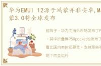 华为EMUI 12源于鸿蒙并非安卓,Mate 50鸿蒙3.0将全球发布