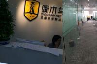上海留学中介十大排名 上海出国留学中介公司