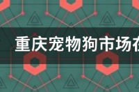 重庆一小区宠物狗接连被毒死，背后之人到底是谁？究竟为何这么做？ 重庆宠物狗