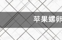 苹果螺的卵在空气中可以孵化吗？ 苹果螺的卵什么样子
