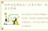 纯种白色博美犬一只多少钱？ 纯种白色博美犬价格
