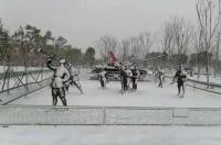 女人梦见单位大院大片雪花飘下 雪花飘电影高清完整版
