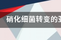 亚硝酸怎么产生？ 亚硝酸盐的危害和来源