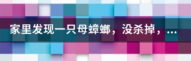 t01a999ca86be7c734b.png