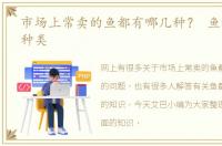 市场上常卖的鱼都有哪几种？ 鱼都有哪些种类