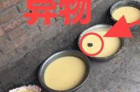 狗能不能喝牛奶？ 狗食的做法