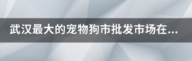 t01b080f3bd61c84f32.png