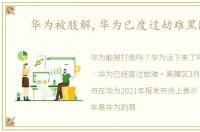 华为被肢解,华为已度过劫难黑障区