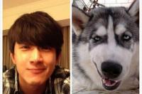极限挑战警犬是哪一期？ 牛头梗孙红雷黄渤柴犬哪一期