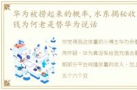 华为被捞起来的概率,水东揭秘收了华为的钱为何老是替华为说话