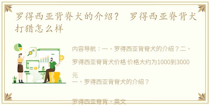 罗得西亚背脊犬的介绍？ 罗得西亚脊背犬打猎怎么样