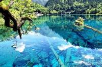 1月九寨沟旅游攻略？ 九寨沟旅游攻略自助游