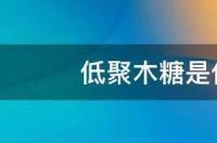什么是低聚木糖？ 低聚木糖是什么东西