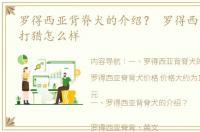 罗得西亚背脊犬的介绍？ 罗得西亚脊背犬打猎怎么样