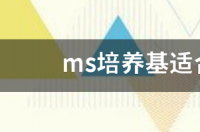 MS培养基刚配好时的PH值是多少？ ms培养基