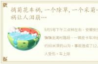 摘菊花车祸,一个除草,一个采菊…两起车祸让人泪崩…