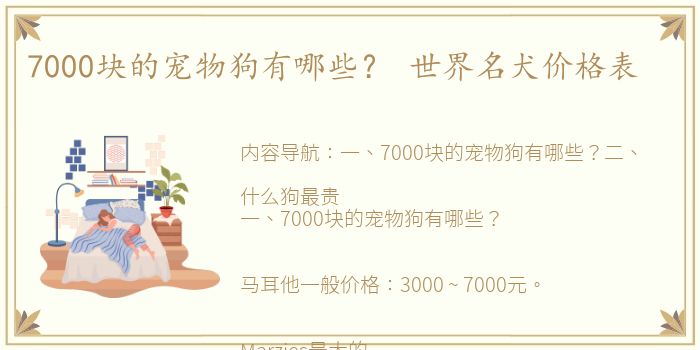 7000块的宠物狗有哪些？ 世界名犬价格表