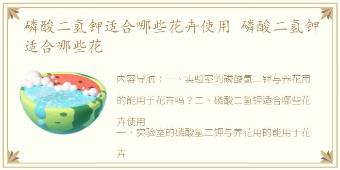 磷酸二氢钾适合哪些花卉使用 磷酸二氢钾适合哪些花