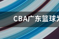 球赛分析软件应该选择哪个？ cba虎扑篮球论坛