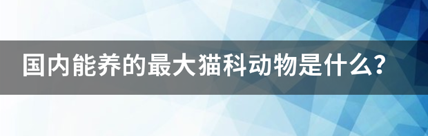 t0140c9183a9f2b81b9.png