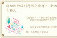 新加坡的福利待遇怎麽样？ 新加坡gip投资移民