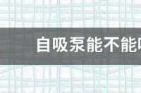 自吸泵能不能吸地下20米深水 什么叫地下吸猫