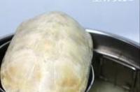 石龟什么时候生蛋？ 石金钱龟抗癌配方