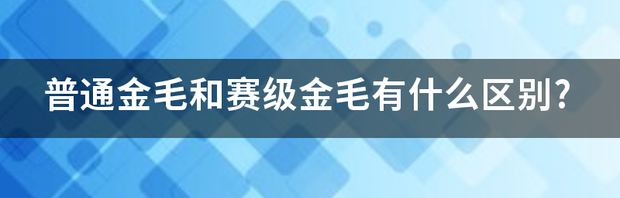 t01fe28a760cc661f87.png