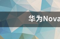 华为Nova5Pro可以用Nova5的手机壳吗？ 华为nova5ipro手机壳