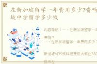 在新加坡留学一年费用多少?贵吗？ 新加坡中学留学多少钱