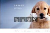 养猫养鱼平台？ 正规的宠物配种平台